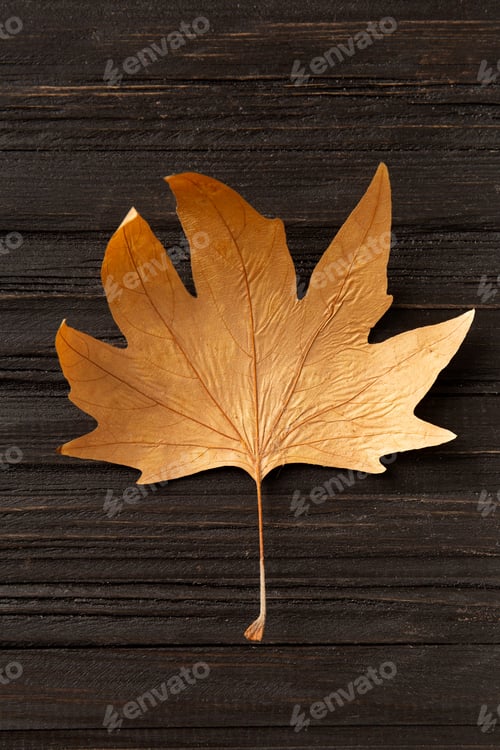 Preview: Autumn dry leaf on wooden background top view.