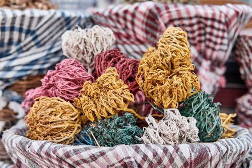 Preview: Dried, painted colorful plants of Jericho rose, heart of desert as souvenir for tourists in Egypt
