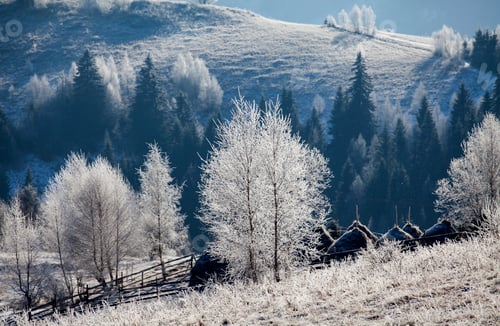Preview: Hoarfrost covered winter landscape