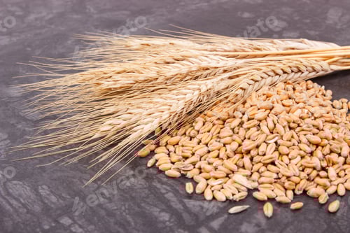 Preview: Rye or wheat grains and ears of cereal