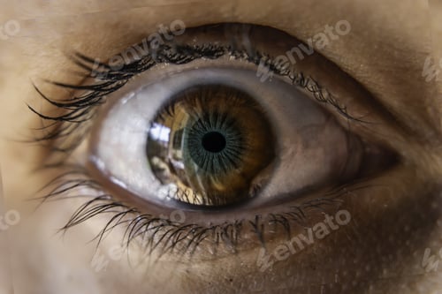 Preview: Macro shot of a brown eye with a blue color in a middle