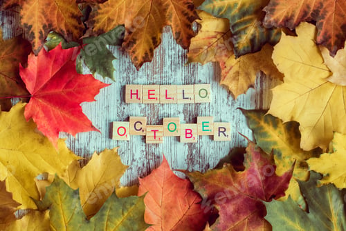 Preview: FLAT LAY. Multicolored autumn maple leaves and hello october lettering