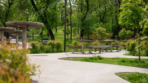 Preview: Wooden tables and benches in the summer park.