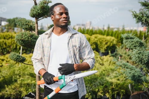 Preview: A young african american gardener cuts a tree with scissors. Gardening and tree shop concept