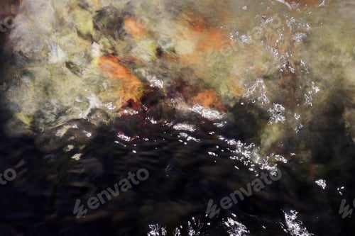 Preview: Water texture in a river