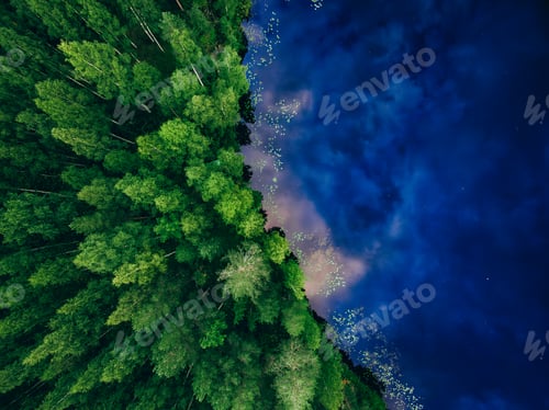 Preview: Aerial view of blue lake sea ocean and green summer woods in Finland.