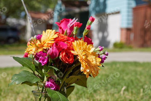 Preview: Close-up photo of fresh colorful flowers
