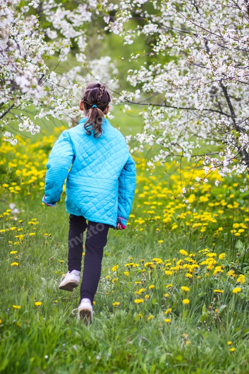 Preview: Happy little girl enjoys spring blossom in a park. Cherry trees in full bloom. Child walks outdoors.