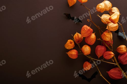 Preview: Halloween background. Flock of black bats and branch of dry orange flowers for Halloween. Black pape