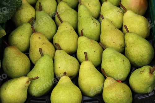 Preview: Closeup of green pears stacked in a box for sale