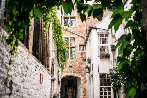 Preview: Antwerp Alleyway