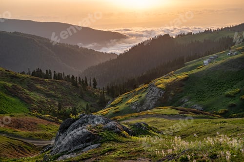 Preview: Mountain landscape with blooming plants, sunrise or sunset and clouds in the background