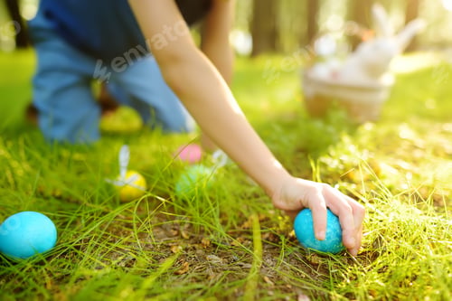 Preview: Little boy hunting for egg in spring garden on Easter day. Traditional easter festival outdoors.
