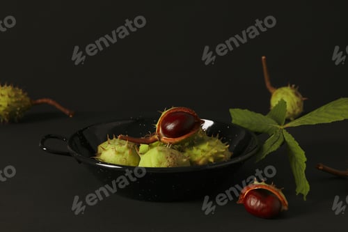 Preview: Fresh and ripe chestnuts, Autumn season chestnuts
