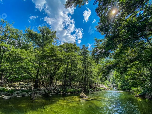 Preview: River Chassezac, trees and blue sky, during summertime