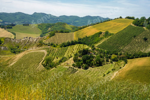 Preview: Rural landscape on the hills near Imola and Riolo Terme
