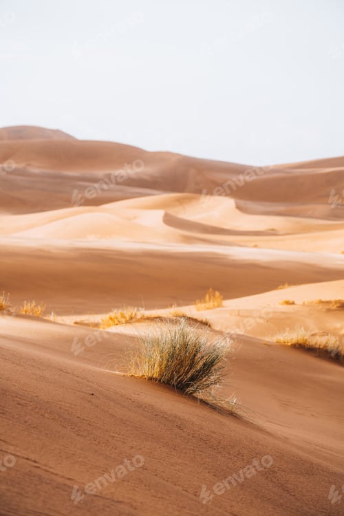 Preview: Sand texture in Morocco Sahara Merzouga Desert portrait oriented
