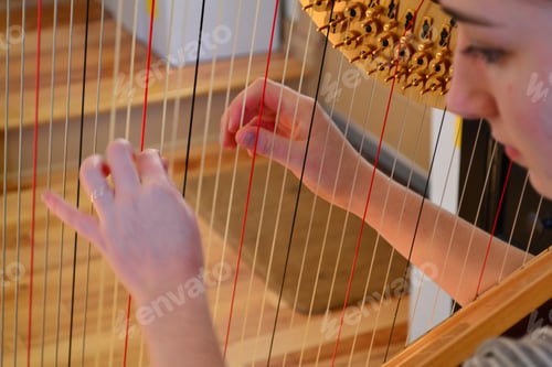 Preview: A beautiful young woman playing music on the harp