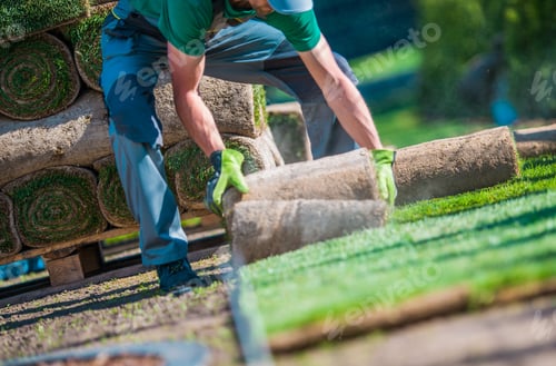 Preview: Installation of Grass Turfs