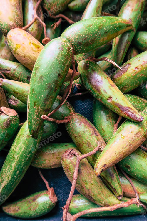 Preview: Fresh Dittoceras Maculatum Kerr Fruits