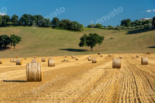 Preview: Rural landscape near Petriolo, Marches, Italy