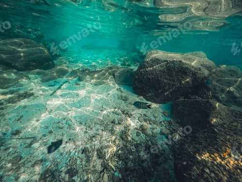 Preview: Underwater at the beach on the island
