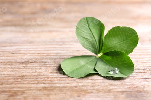 Preview: Green four-leaf clover on wooden background with space for text
