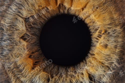 Preview: Macro photo of human child eye looking at the side.