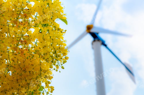 Preview: Clean energy concept from the wind in nature