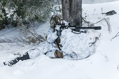 Preview: Winter arctic mountains sniper
