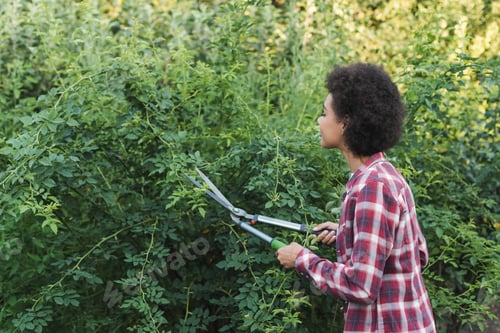 Preview: young african american woman trimming bushes in garden