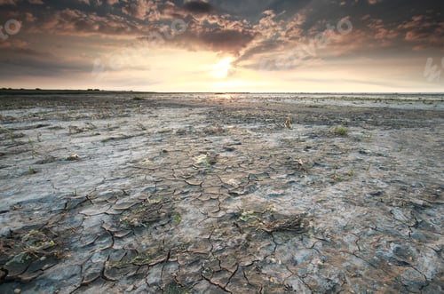 Preview: Wadden sea coast at low tide