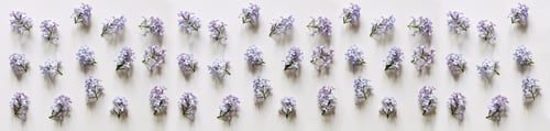 Preview: Beautiful flower arrangement. Mockup. Lilac flowers on light gray background. Wedding, birthday.