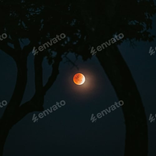Preview: Blood moon lunar eclipse in night sky dramatic red full moon astronomy space celestial event dark
