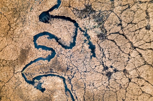 Preview: Winding river between brown swamps. Wildlife in nature.