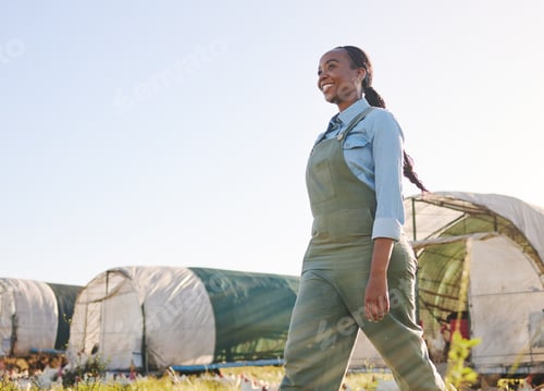 Preview: Chicken farm, black woman and agriculture on a eco friendly and sustainable with mockup space. Coun