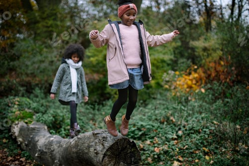 Preview: Twin sisters in the woods jumping off a tree