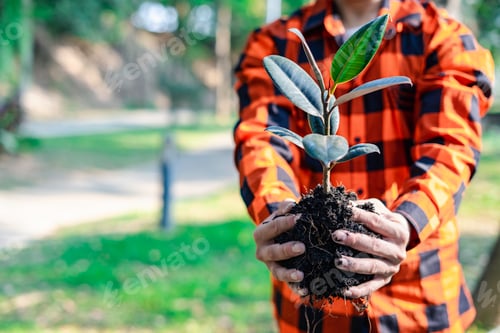 Preview: World environment day afforestation nature and ecology concept A young male volunteer's hand holding