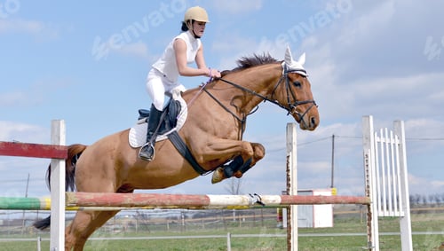 Preview: Show Jumping