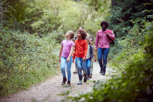 Preview: Adult Team Leaders With Group Of Children At Outdoor Activity Camp Walking Through Woodland