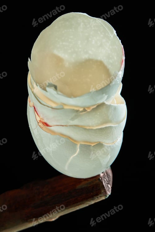Preview: Chicken eggshells are stacked on a black background
