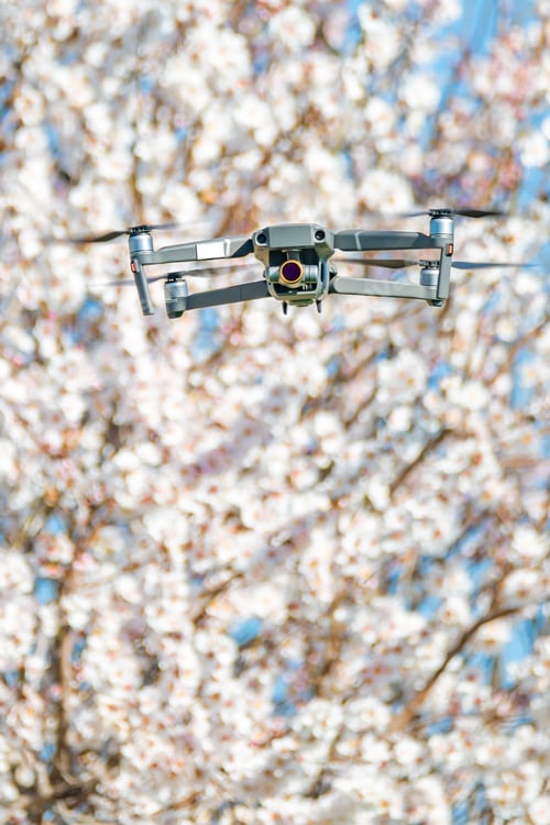 Preview: Vertical shot of a drone in stationary flight in front of a blossoming almond tree
