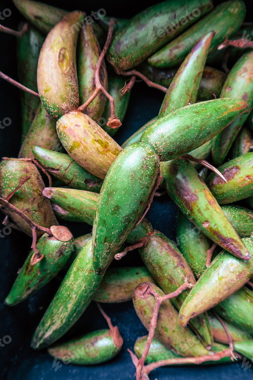 Preview: Fresh Dittoceras Maculatum Kerr Fruits