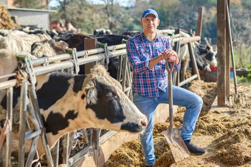 Preview: Portrait Of A Man On Livestock Ranches