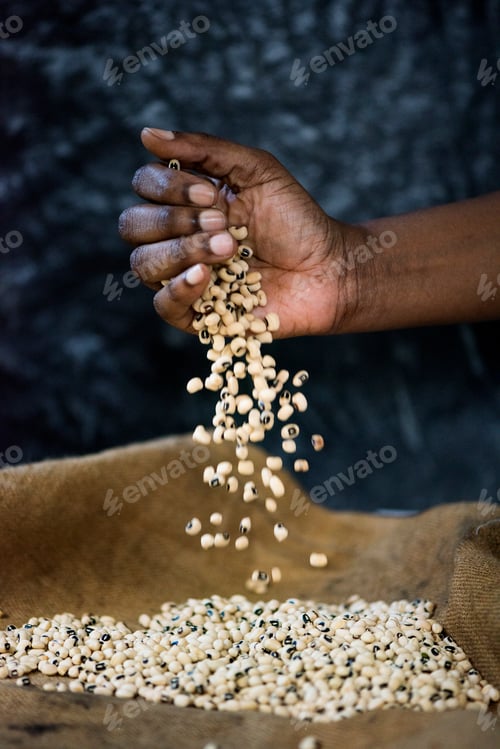 Preview: Hands pouring soya bean to the sack