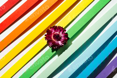 Preview: Rainbow colored paper stripe waves