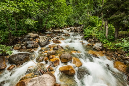 Preview: Mountain Stream