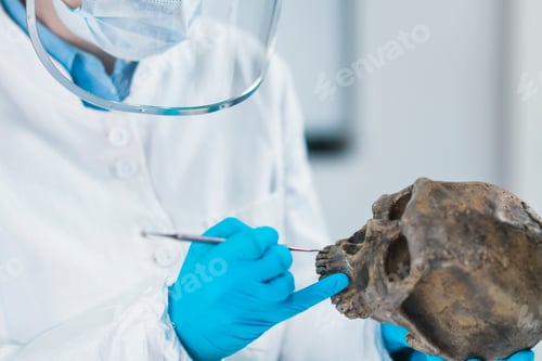 Preview: Ancient DNA Scientist Working in Bio Archaeology Lab