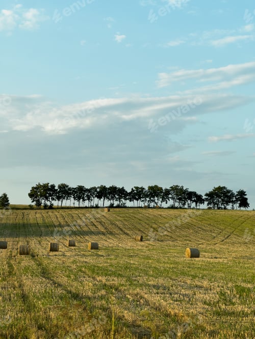 Preview: Harvested field with hay bales and trees under a cloudy sky.