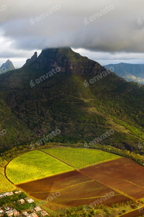 Preview: View from the height of the sown fields located on the island of Mauritius
